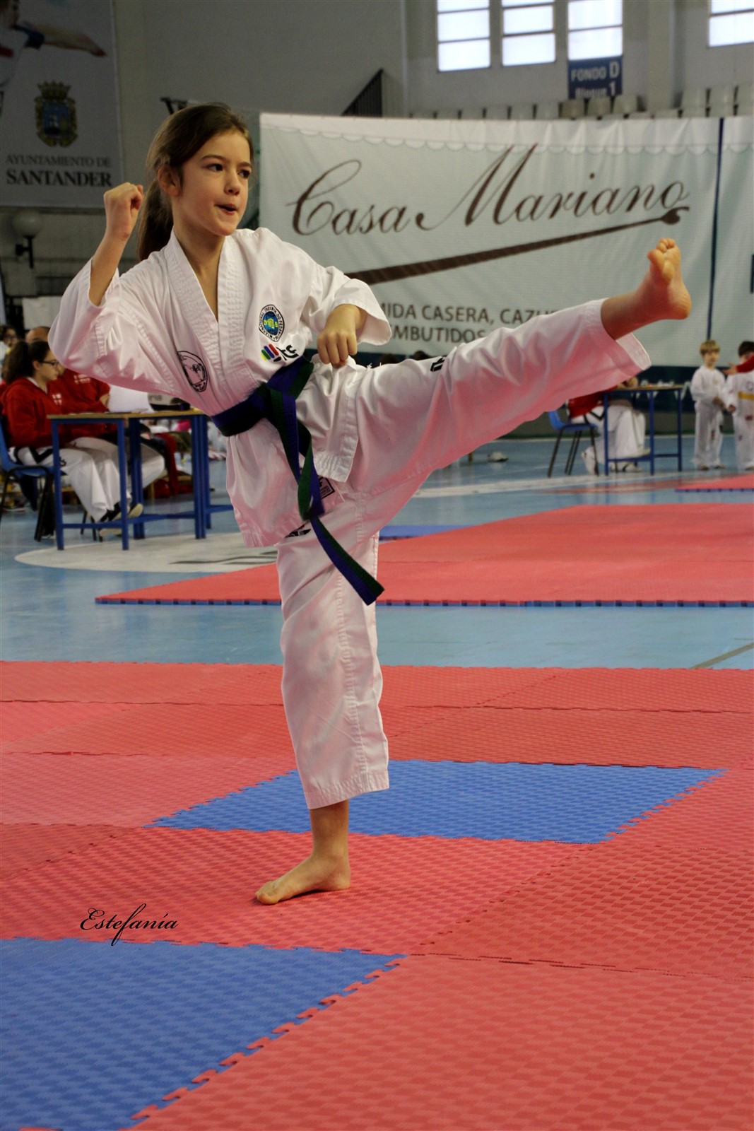 Taekwondo (111).jpg